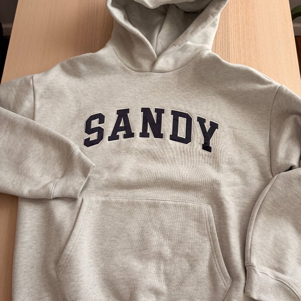 Sandy Liang x GAP hoodie
